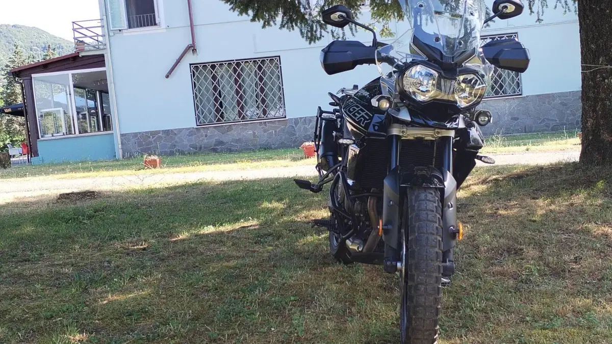 Triumph Tiger 800 XRx (2018 - 20)  (2)