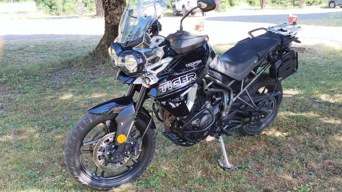 Triumph Tiger 800 XRx (2018 - 20)  (3)