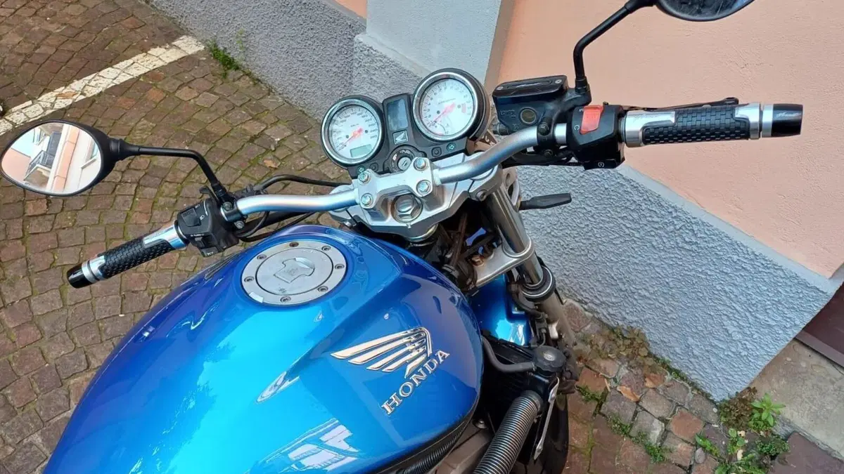 Honda Hornet 600 (2003 - 04)  (4)