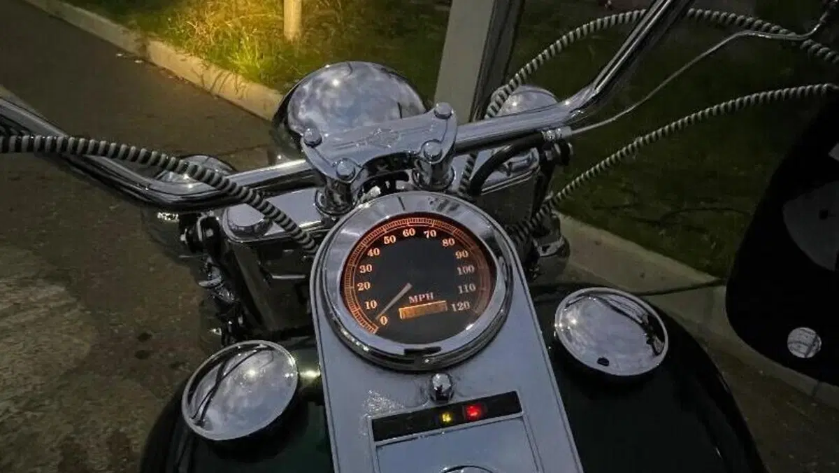Harley-Davidson   (2)