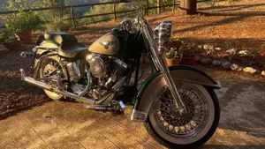 Harley-Davidson   (3)