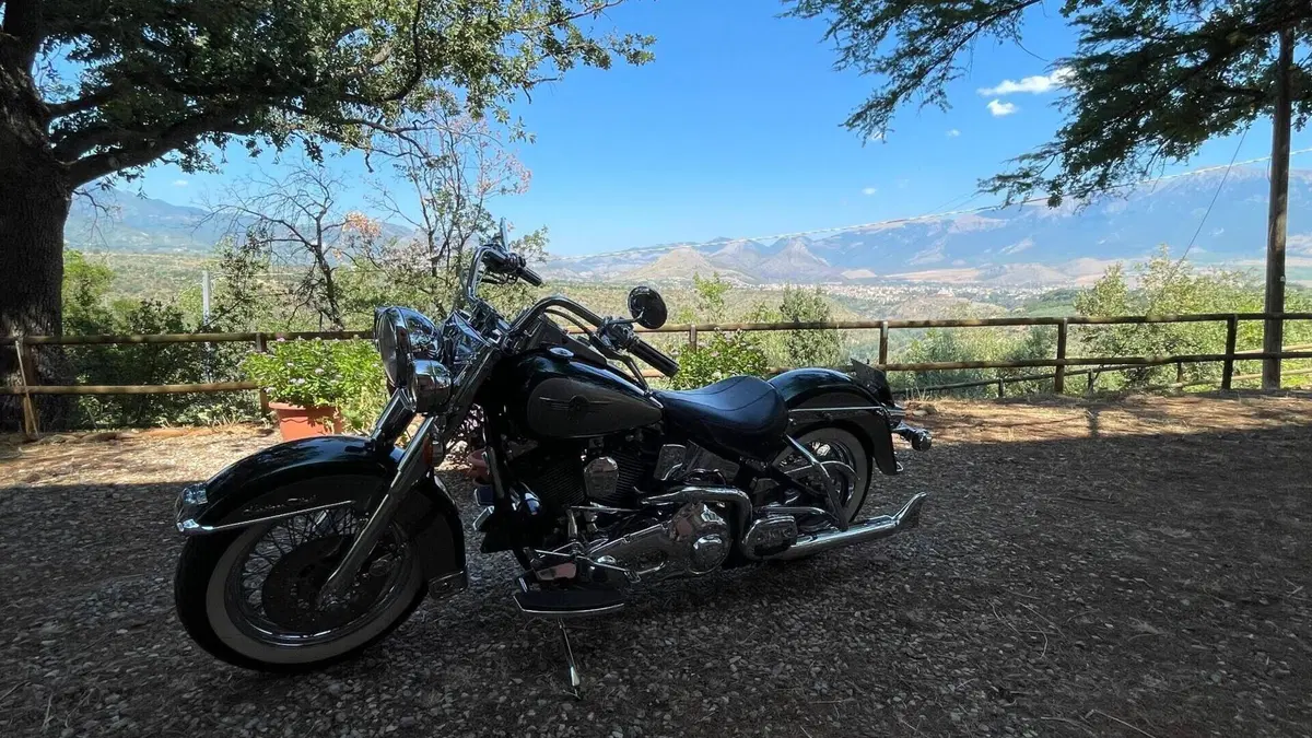 Harley-Davidson   (5)