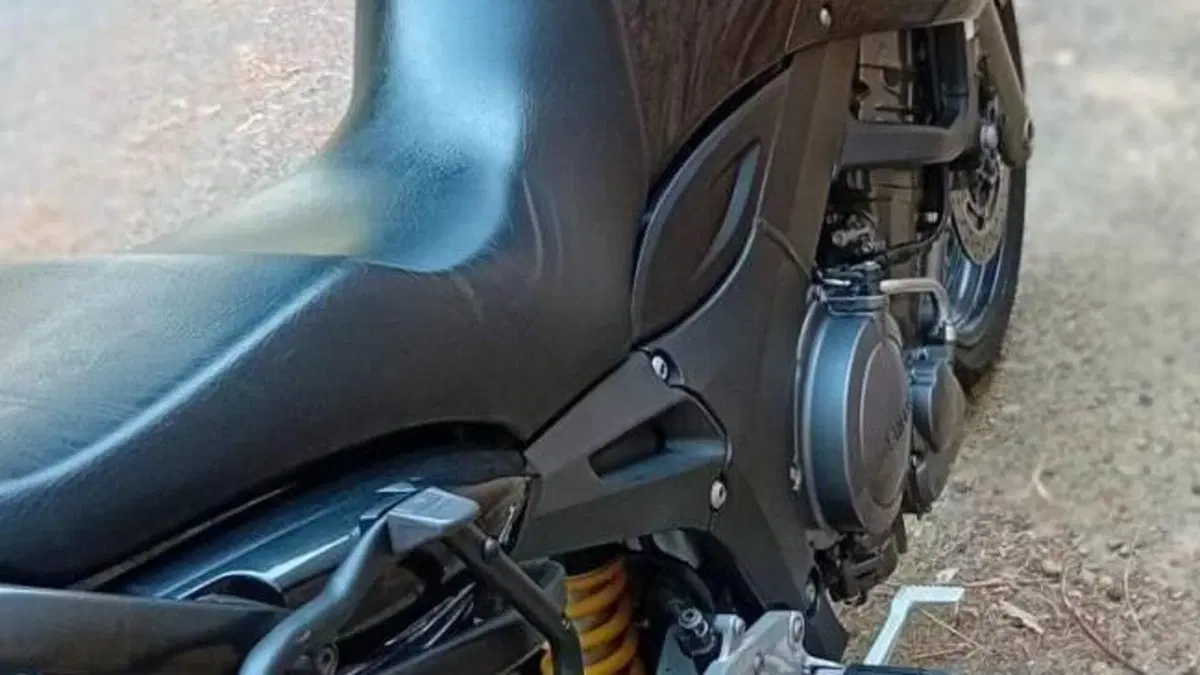 Yamaha TDM 900 (2002 - 14)  (3)