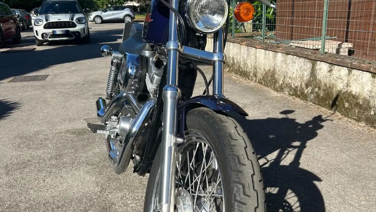 Harley-Davidson   (4)
