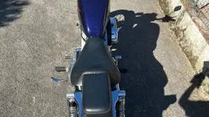 Harley-Davidson   (6)