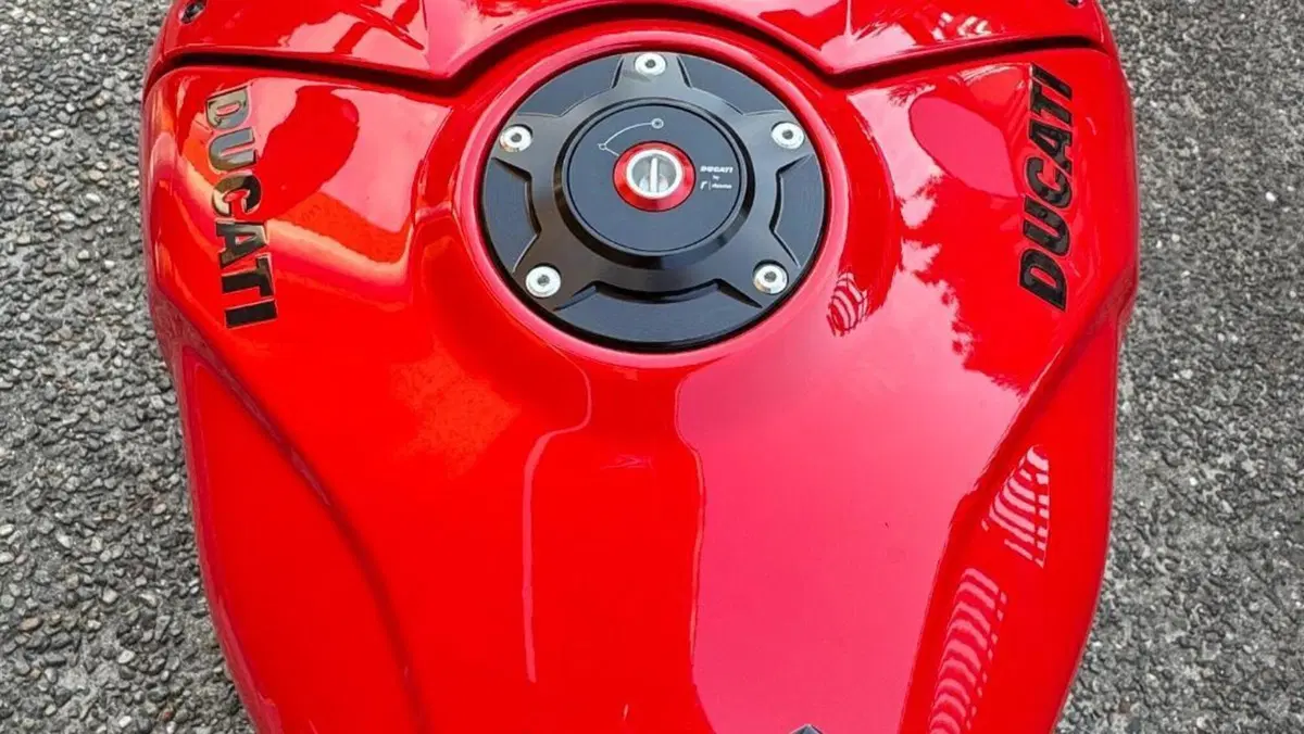 Ducati Streetfighter V4 S (2023 - 24)  (6)