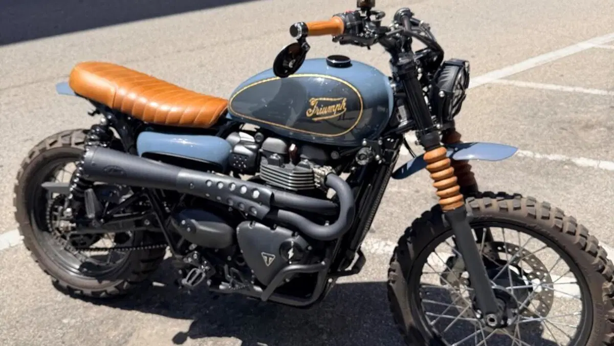 Triumph Street Scrambler 900 (2019 - 20)  (2)