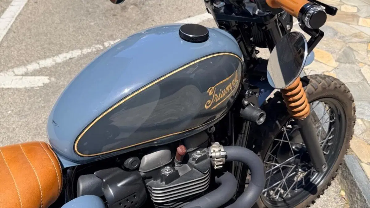 Triumph Street Scrambler 900 (2019 - 20)  (3)