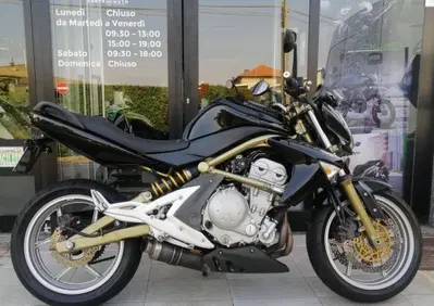 Kawasaki ER-6N (2005 - 08) - Annuncio 10047262