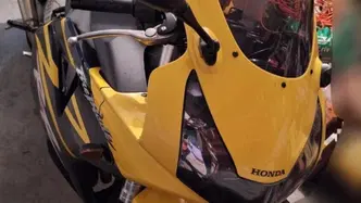 Honda CBR 900 RR Fireblade (2002 - 04) usata
