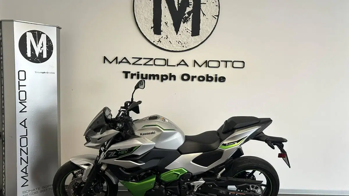 Kawasaki Z7 Hybrid (2024 - 26)  (3)