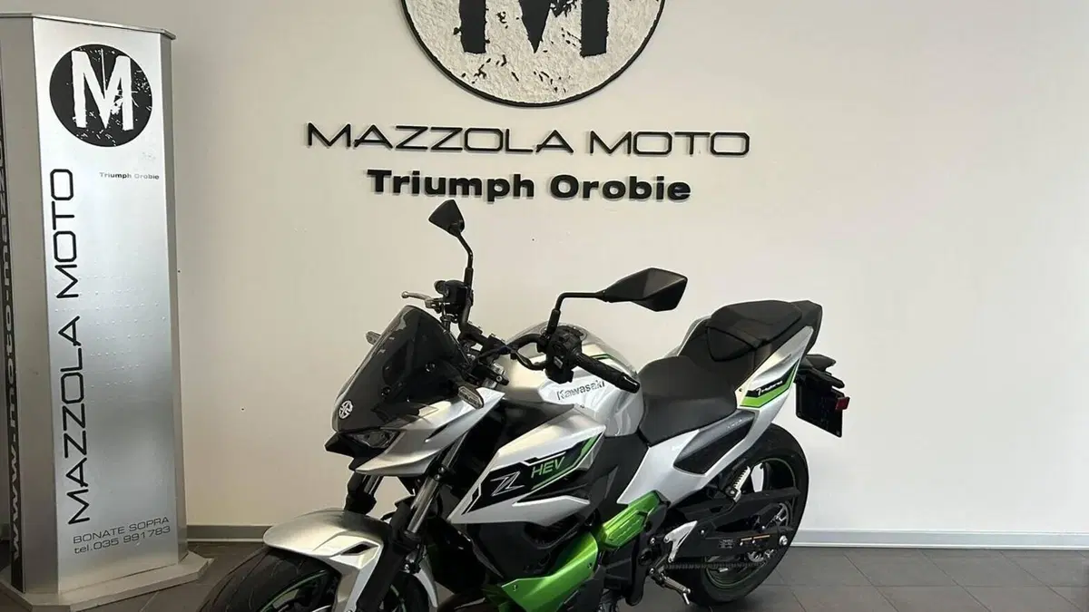 Kawasaki Z7 Hybrid (2024 - 26)  (4)