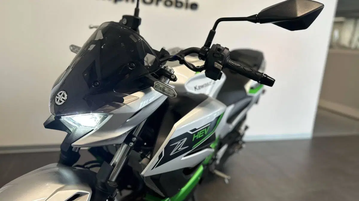 Kawasaki Z7 Hybrid (2024 - 26)  (6)