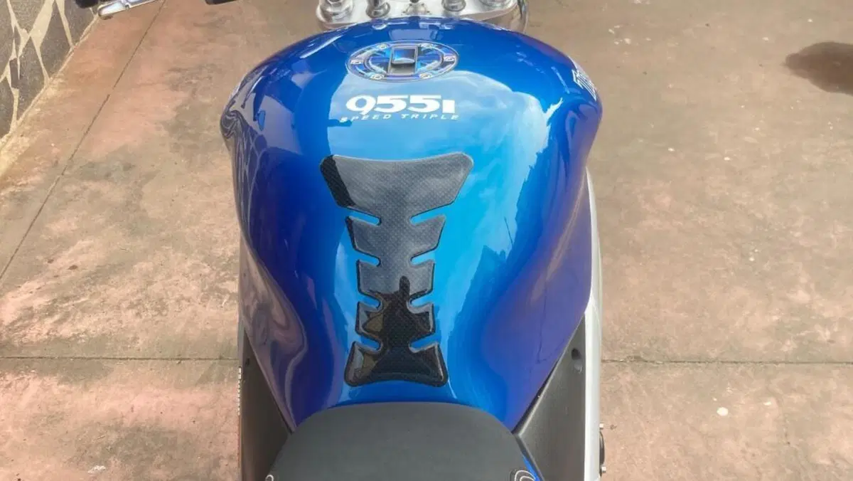 Triumph Speed Triple 955 (2002 - 04)  (3)