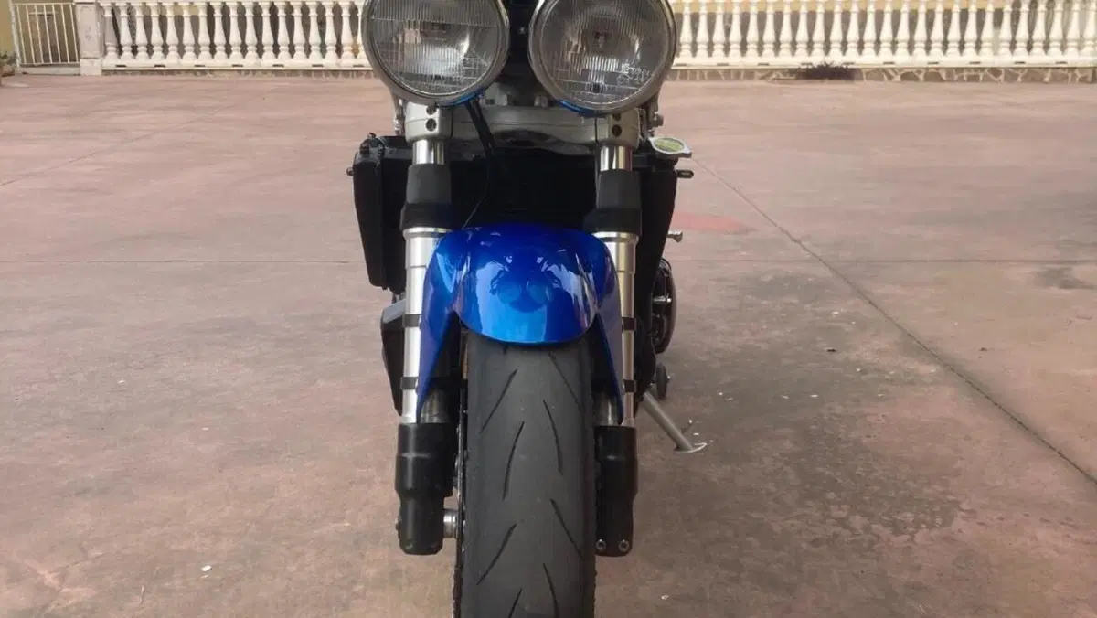 Triumph Speed Triple 955 (2002 - 04)  (4)
