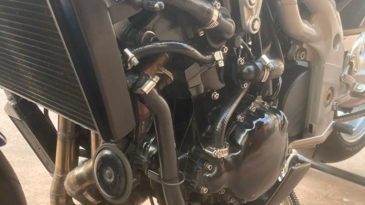 Triumph Speed Triple 955 (2002 - 04)  (7)