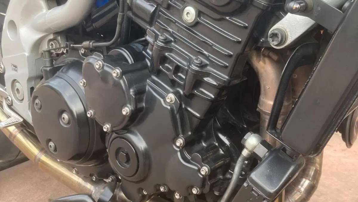 Triumph Speed Triple 955 (2002 - 04)  (11)