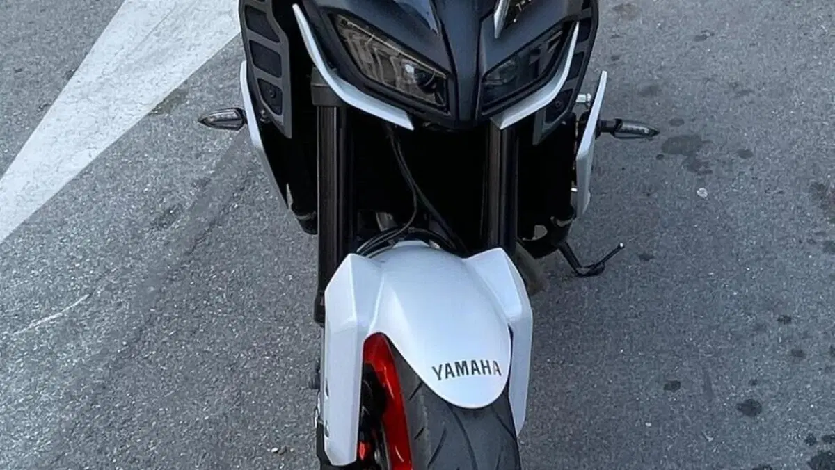 Yamaha MT-09 (2017 - 20)  (3)