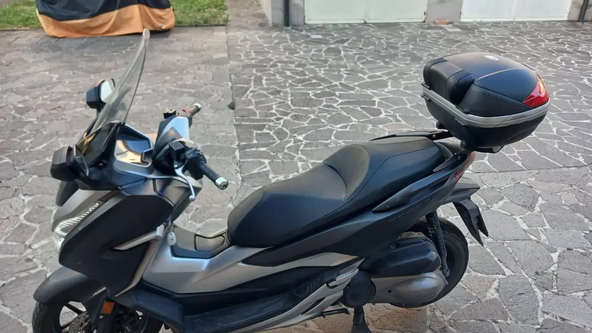 Honda Forza 300 ABS (2018 - 20)  (6)