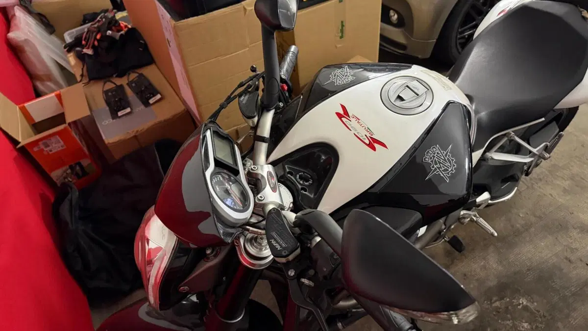 MV Agusta Brutale 1090 RR (2009 - 15)  (12)