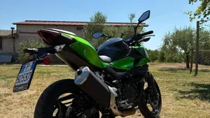Kawasaki Z 500 (2024 - 26)  (2)