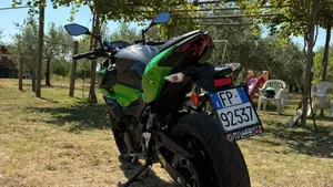 Kawasaki Z 500 (2024 - 26)  (8)