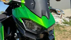 Kawasaki Z 500 (2024 - 26)  (4)