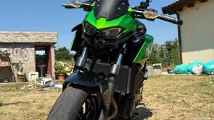 Kawasaki Z 500 (2024 - 26)  (3)