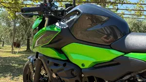 Kawasaki Z 500 (2024 - 26)  (9)