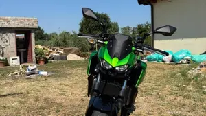 Kawasaki Z 500 (2024 - 26)  (5)