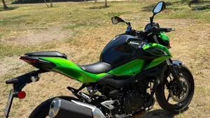 Kawasaki Z 500 (2024 - 26)  (6)