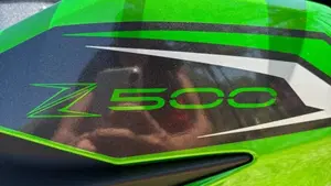 Kawasaki Z 500 (2024 - 26)  (12)