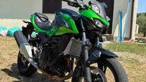 Kawasaki Z 500 (2024 - 26) 