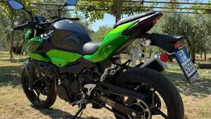 Kawasaki Z 500 (2024 - 26)  (7)