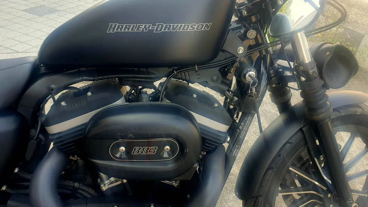 Harley-Davidson 883 Iron (2009 - 11) - XL 883N  (2)