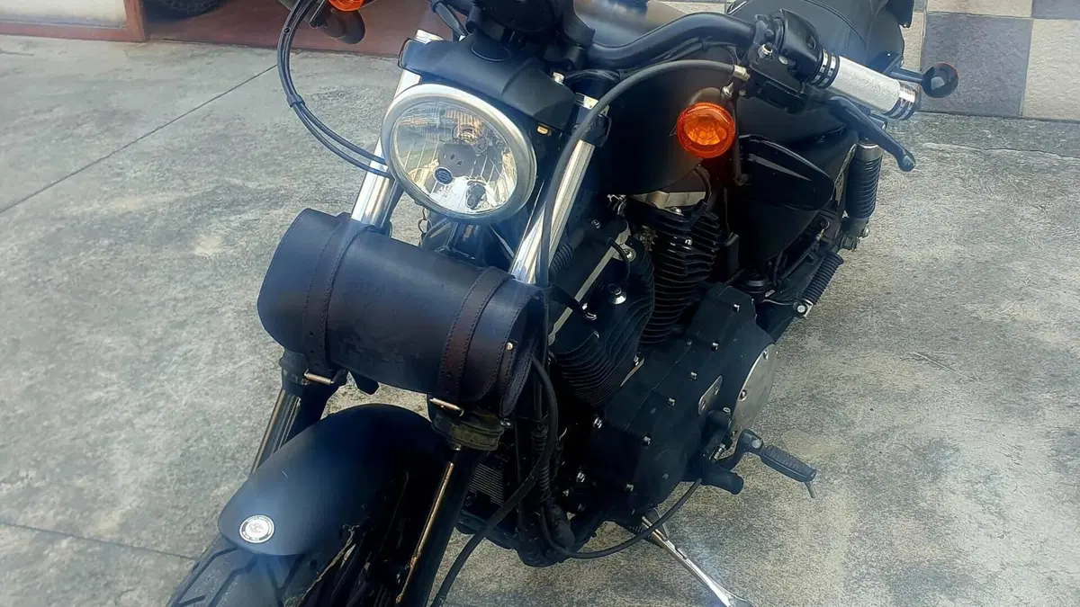 Harley-Davidson 883 Iron (2009 - 11) - XL 883N  (3)