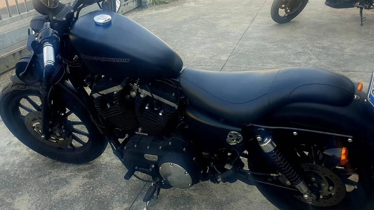 Harley-Davidson 883 Iron (2009 - 11) - XL 883N  (4)
