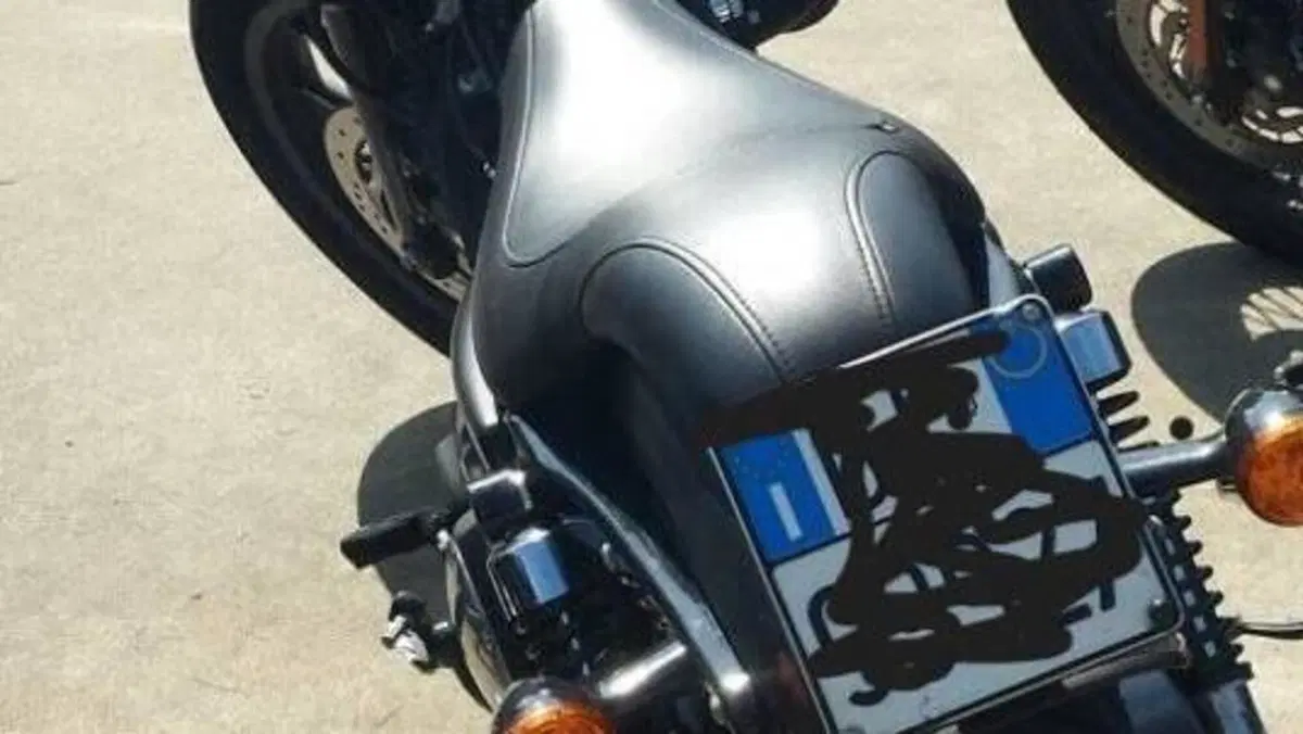 Harley-Davidson 883 Iron (2009 - 11) - XL 883N  (8)
