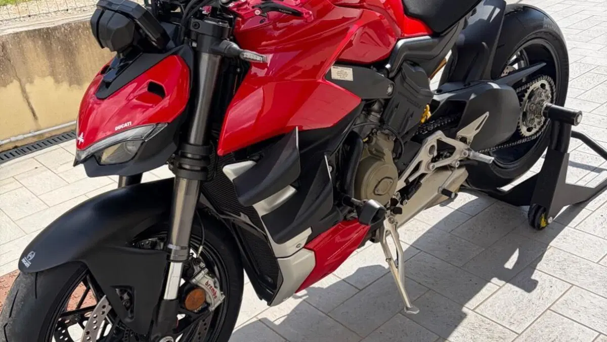 Ducati Streetfighter V4 1100 (2020)  (4)