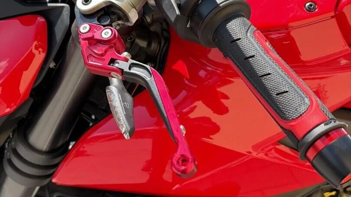 Ducati Streetfighter V4 1100 (2020)  (6)