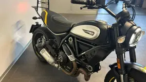 Ducati Scrambler 800 Icon (2021 - 22)  (8)