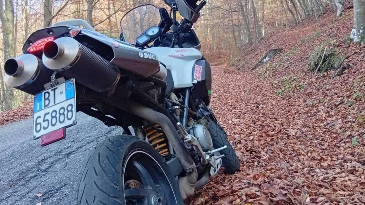 Ducati Multistrada 1000 DS (2003 - 06) 