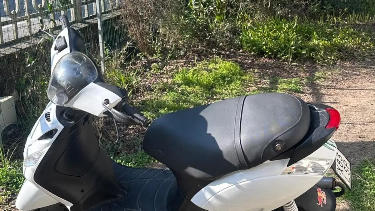 Piaggio Zip 50 2T (2000 - 18)  (2)