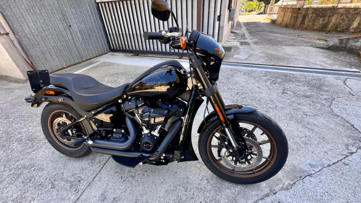 Harley-Davidson Low Rider S (2022 - 24)  (2)