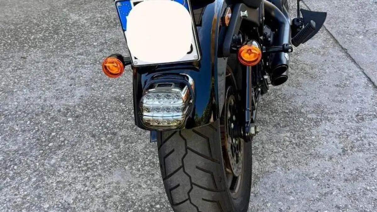 Harley-Davidson Low Rider S (2022 - 24)  (4)