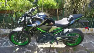 Kawasaki Z 900 (2021 - 24)  (2)