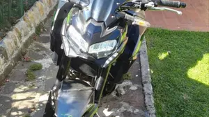 Kawasaki Z 900 (2021 - 24)  (3)