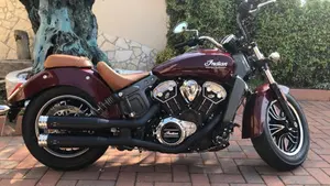 Indian Scout 1133 (2017 - 19)  (3)
