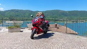 Honda CBR 650 R (2021 - 23)  (7)