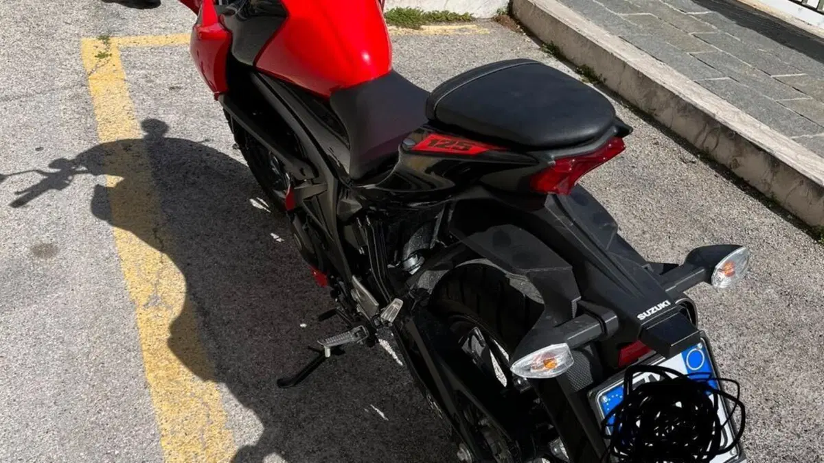 Suzuki GSX-S125 (2017 - 20)  (3)